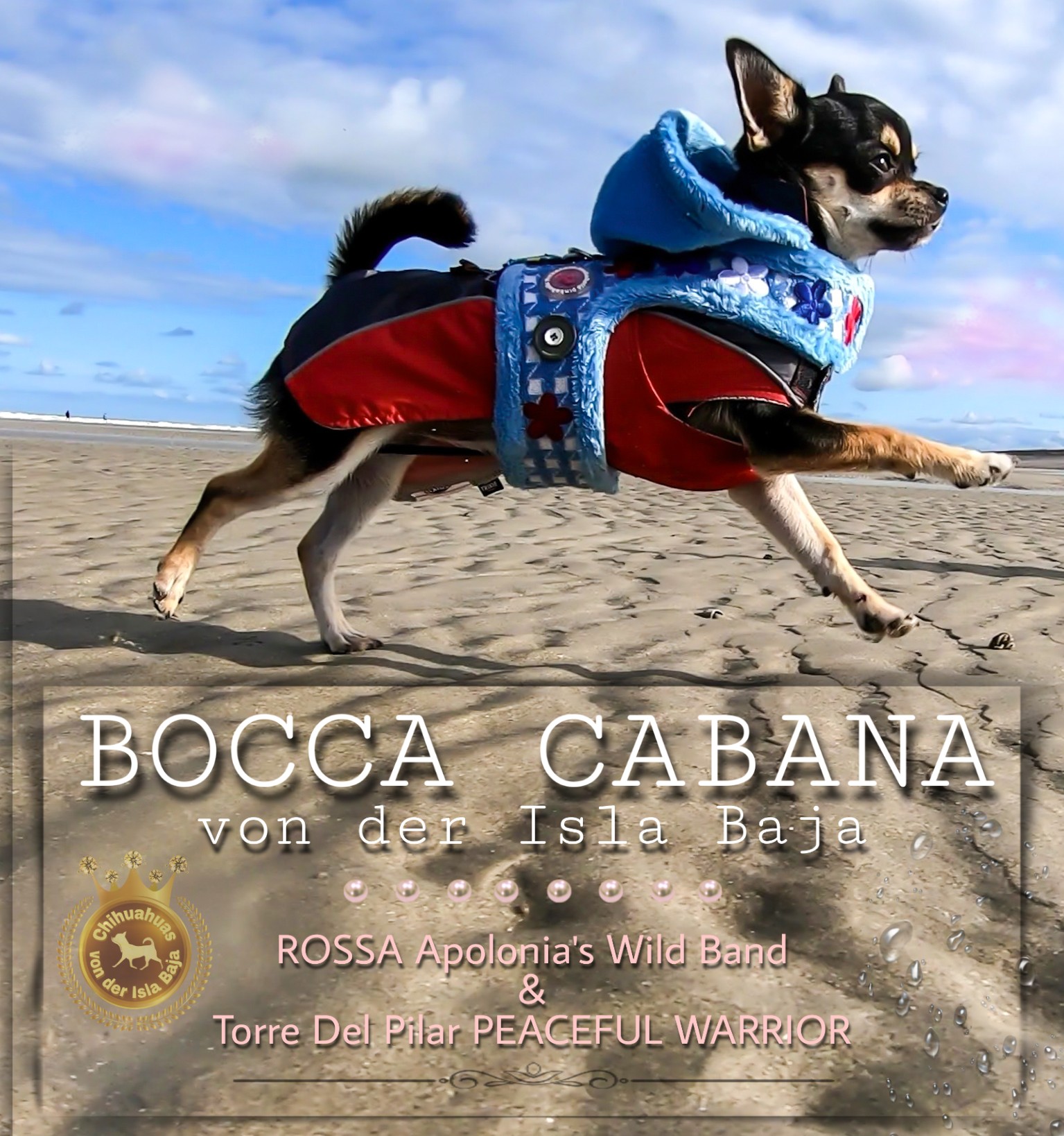 Linda ~ Bocca Cabana von der Isla Baja ♀️