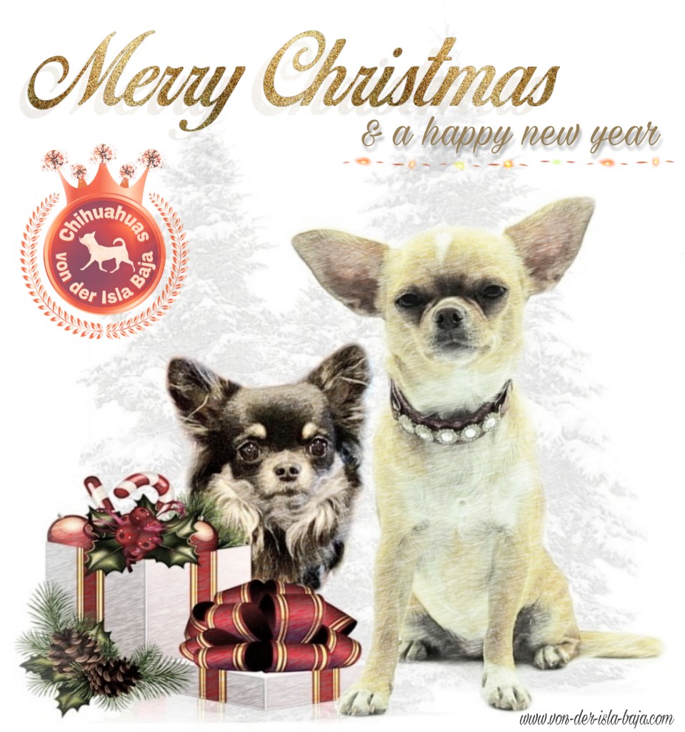 WIR WÜNSCHEN EUCH ALLEN EINE FRÖHLICHE WEIHNACHTSZEIT